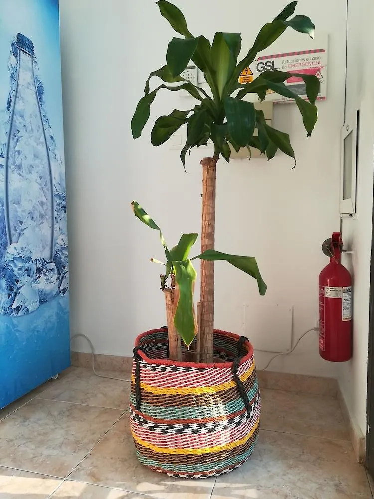 La Moraga De Poniente Malaga Hostel Espanha